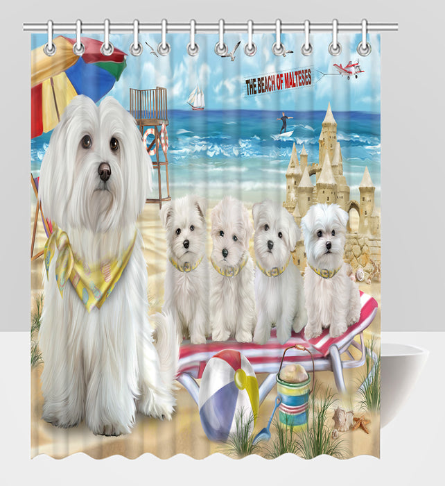 Pet Friendly Beach Maltese Dogs Shower Curtain