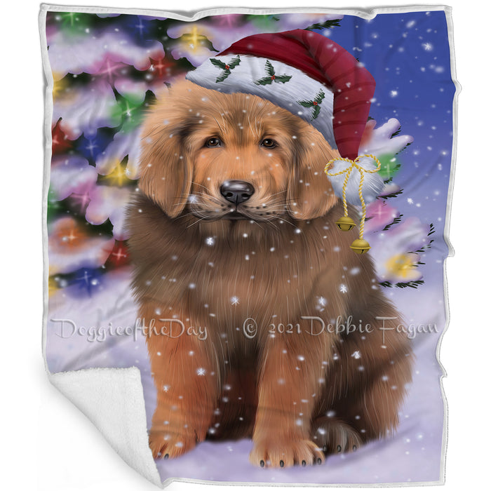 Winterland Wonderland Tibetan Mastiff Dog In Christmas Holiday Scenic Background Blanket BLNKT121071
