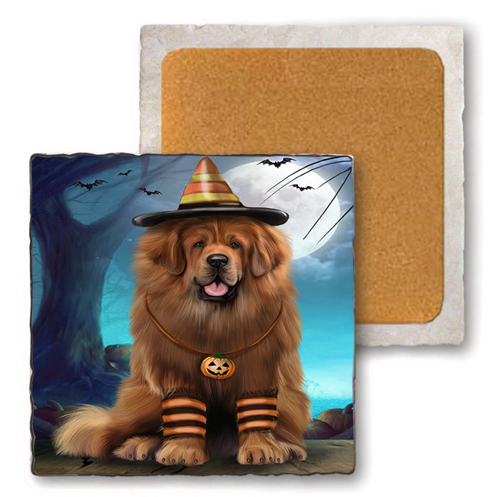 Happy Halloween Trick or Treat Tibetan Mastiff Dog Set of 4 Natural Stone Marble Tile Coasters MCST49537