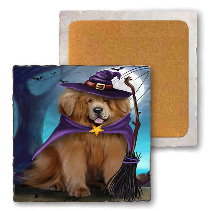 Happy Halloween Trick or Treat Tibetan Mastiff Dog Set of 4 Natural Stone Marble Tile Coasters MCST49539
