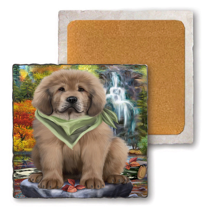 Scenic Waterfall Tibetan Mastiff Dog Set of 4 Natural Stone Marble Tile Coasters MCST49699