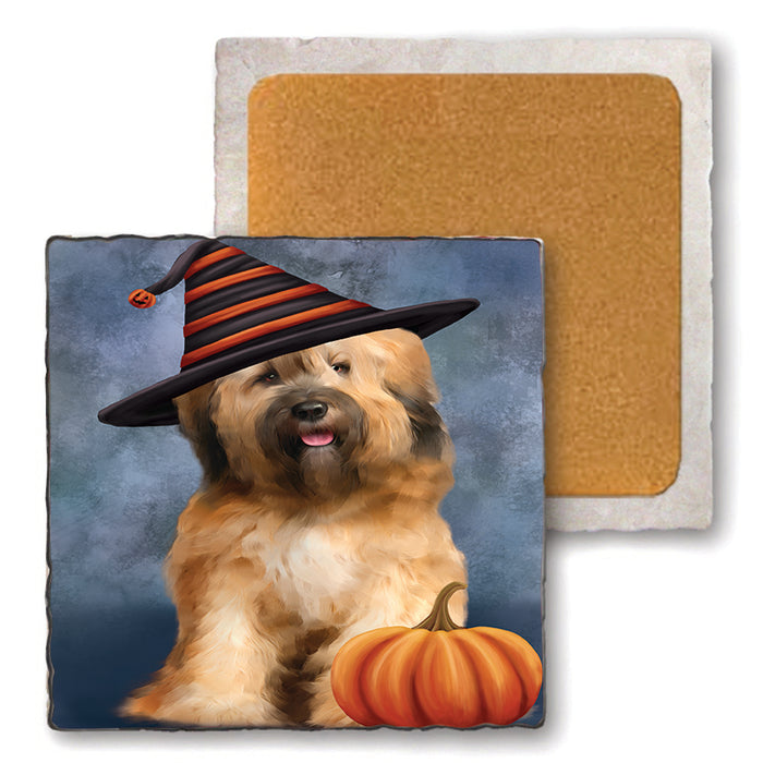 Happy Halloween Tibetan Terrier Dog Wearing Witch Hat with Pumpkin Set of 4 Natural Stone Marble Tile Coasters MCST49825