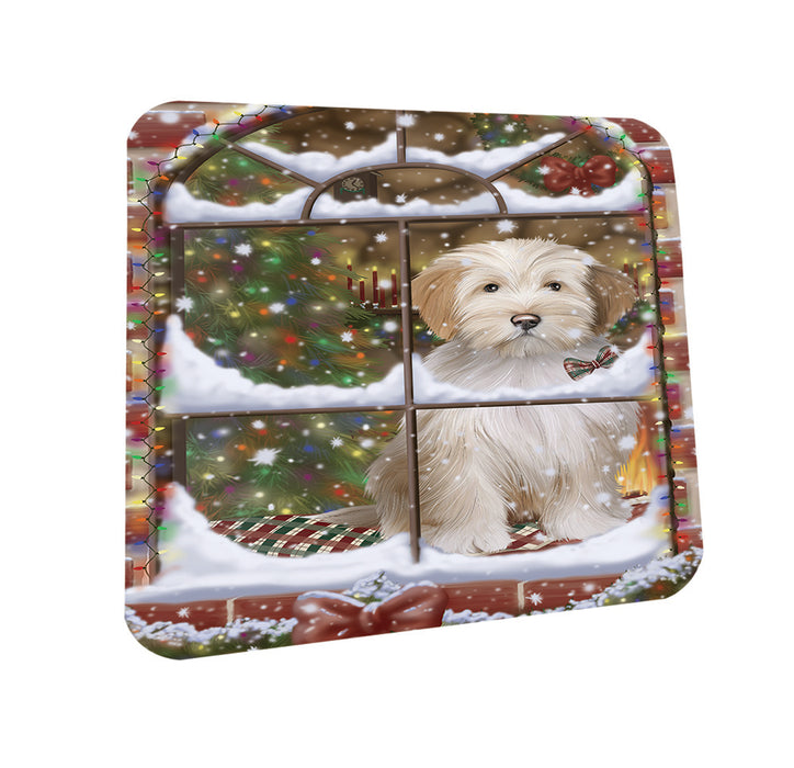 Please Come Home For Christmas Tibetan Terrier Dog Sitting In Window Coasters Set of 4 CST53908