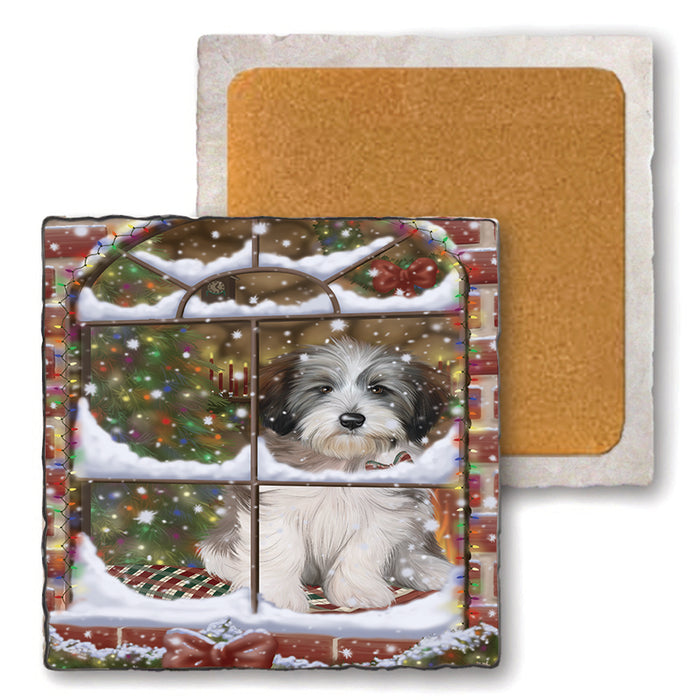 Please Come Home For Christmas Tibetan Terrier Dog Sitting In Window Set of 4 Natural Stone Marble Tile Coasters MCST48951
