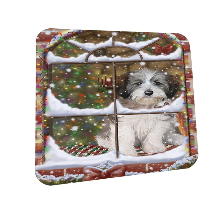 Please Come Home For Christmas Tibetan Terrier Dog Sitting In Window Coasters Set of 4 CST53909