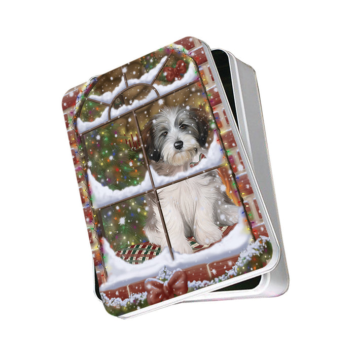 Please Come Home For Christmas Tibetan Terrier Dog Sitting In Window Photo Storage Tin PITN53894