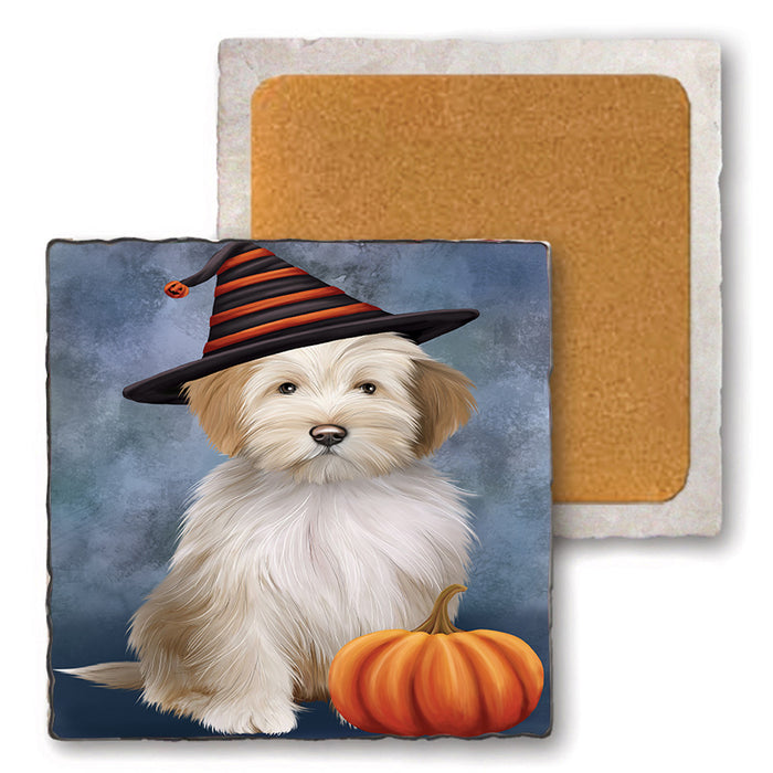 Happy Halloween Tibetan Terrier Dog Wearing Witch Hat with Pumpkin Set of 4 Natural Stone Marble Tile Coasters MCST49747
