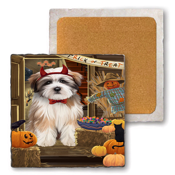 Enter at Own Risk Trick or Treat Halloween Tibetan Terrier Dog Set of 4 Natural Stone Marble Tile Coasters MCST48312