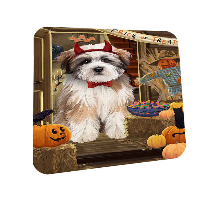 Enter at Own Risk Trick or Treat Halloween Tibetan Terrier Dog Coasters Set of 4 CST53270