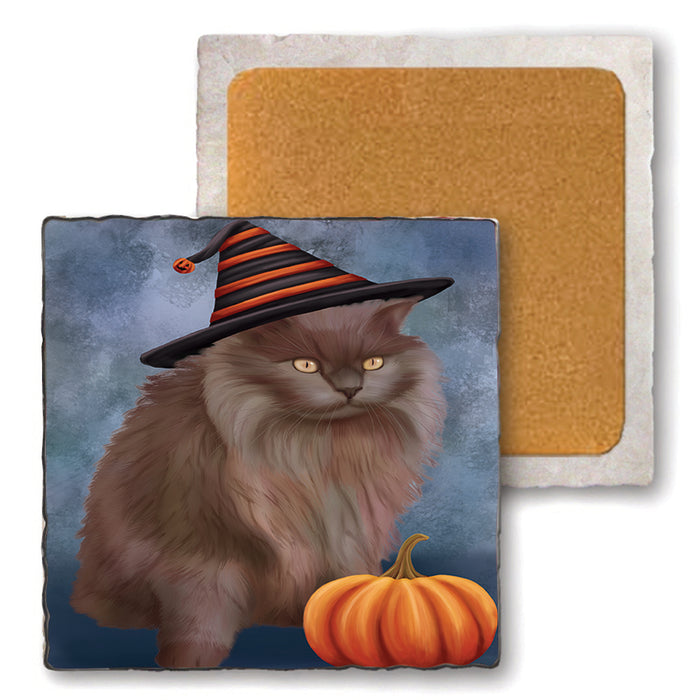 Happy Halloween Tiffany Cat Wearing Witch Hat with Pumpkin Set of 4 Natural Stone Marble Tile Coasters MCST49826