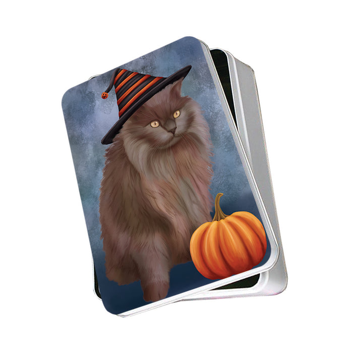Happy Halloween Tiffany Cat Wearing Witch Hat with Pumpkin Photo Storage Tin PITN54769