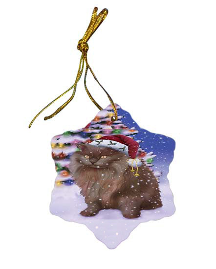 Winterland Wonderland Tiffany Cat In Christmas Holiday Scenic Background Star Porcelain Ornament SPOR56099