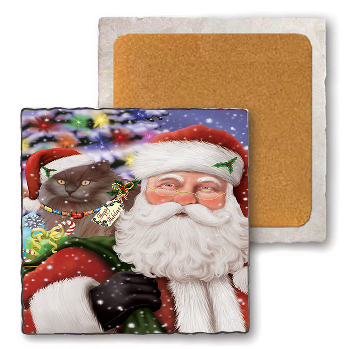Santa Carrying Tiffany Cat and Christmas Presents Set of 4 Natural Stone Marble Tile Coasters MCST50546