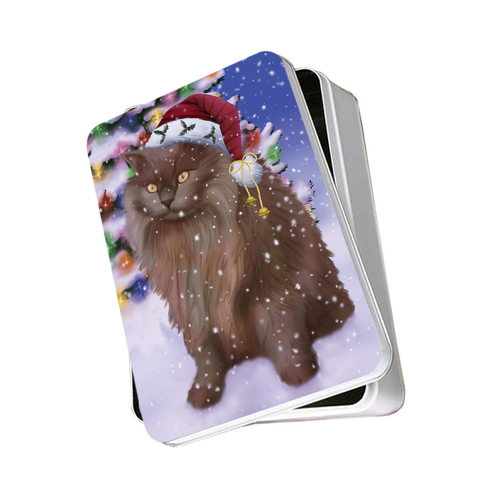 Winterland Wonderland Tiffany Cat In Christmas Holiday Scenic Background Photo Storage Tin PITN55686