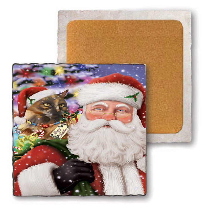 Santa Carrying Tortoiseshell Cat and Christmas Presents Set of 4 Natural Stone Marble Tile Coasters MCST50547