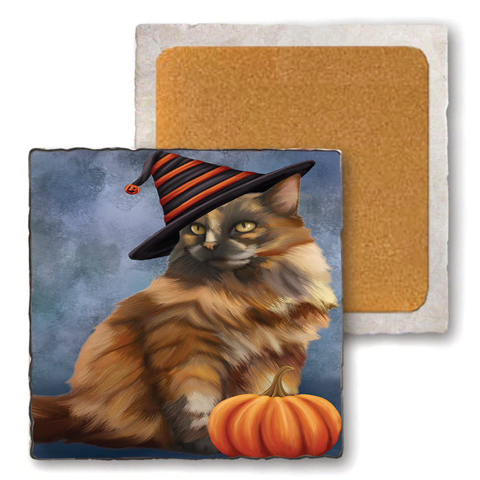 Happy Halloween Tortoiseshell Cat Wearing Witch Hat with Pumpkin Set of 4 Natural Stone Marble Tile Coasters MCST49828