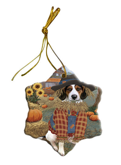 Fall Pumpkin Scarecrow Treeing Walker Coonhound Dogs Star Porcelain Ornament SPOR57772