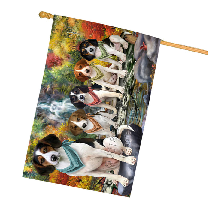 Scenic Waterfall Treeing Walker Coonhounds Dog House Flag FLG52101