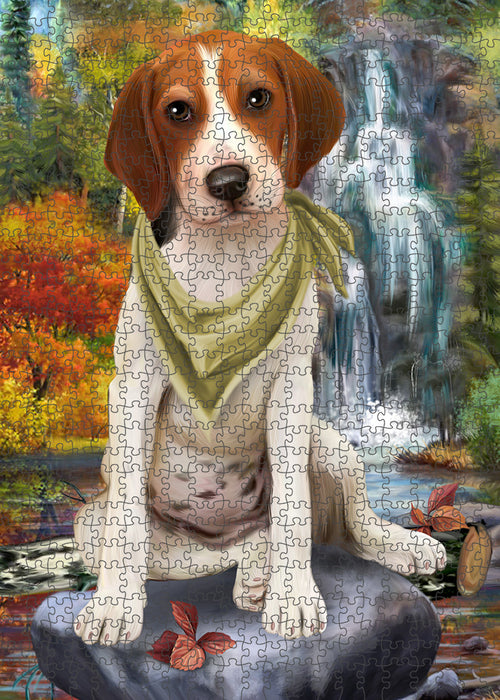 Scenic Waterfall Treeing Walker Coonhound Dog Puzzle with Photo Tin PUZL59997
