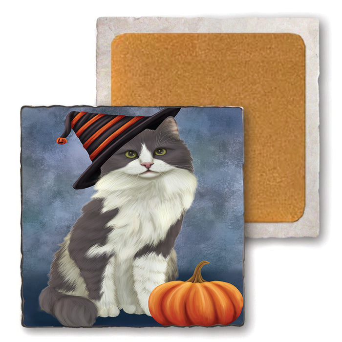 Happy Halloween Turkish Angora Cat Wearing Witch Hat with Pumpkin Set of 4 Natural Stone Marble Tile Coasters MCST49829