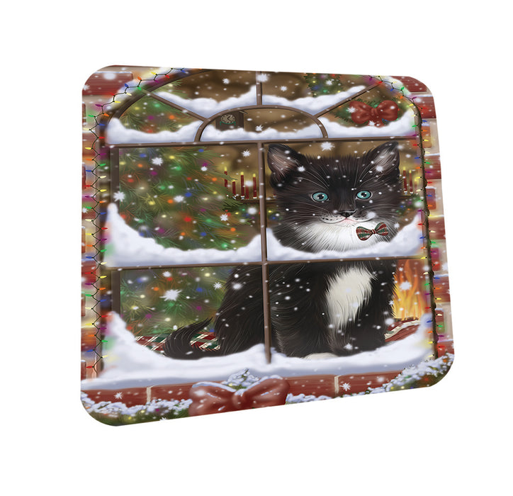 Please Come Home For Christmas Tuxedo Cat Sitting In Window Coasters Set of 4 CST53608