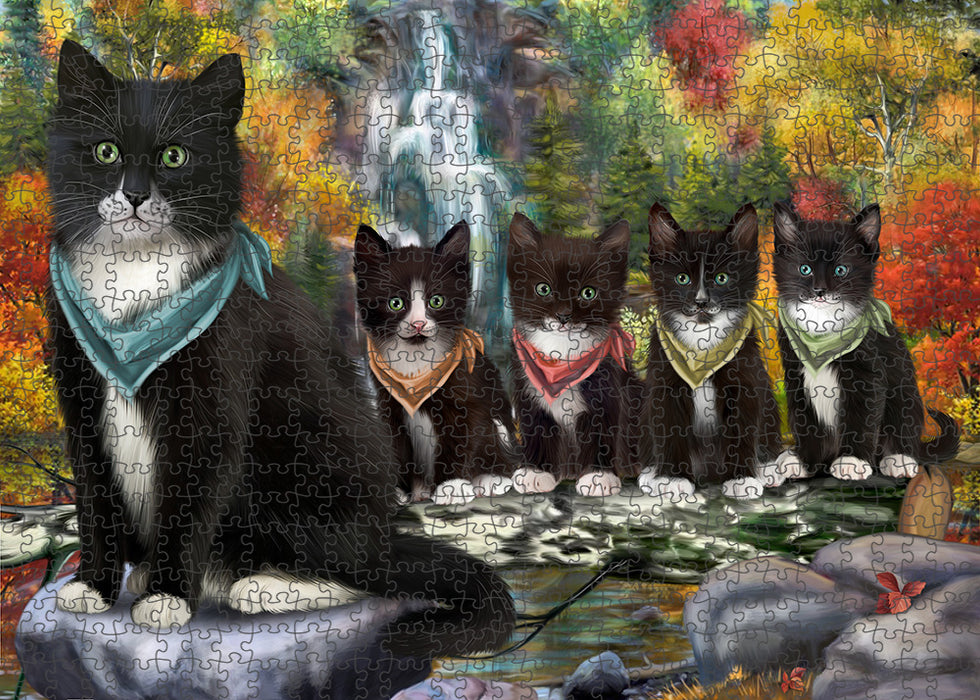 Scenic Waterfall Tuxedo Cats Puzzle with Photo Tin PUZL60009
