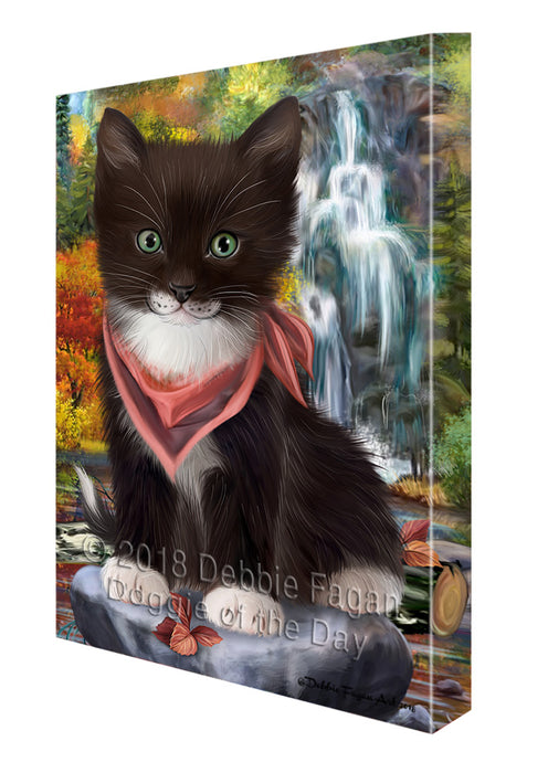 Scenic Waterfall Tuxedo Cat Canvas Print Wall Art Décor CVS85058