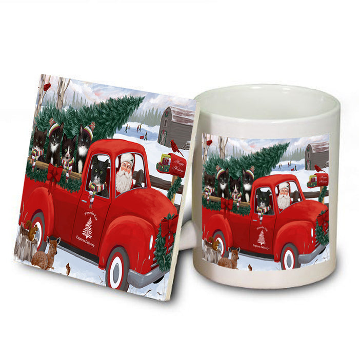 Christmas Santa Express Delivery Tuxedo Cats Family Mug and Coaster Set MUC55067