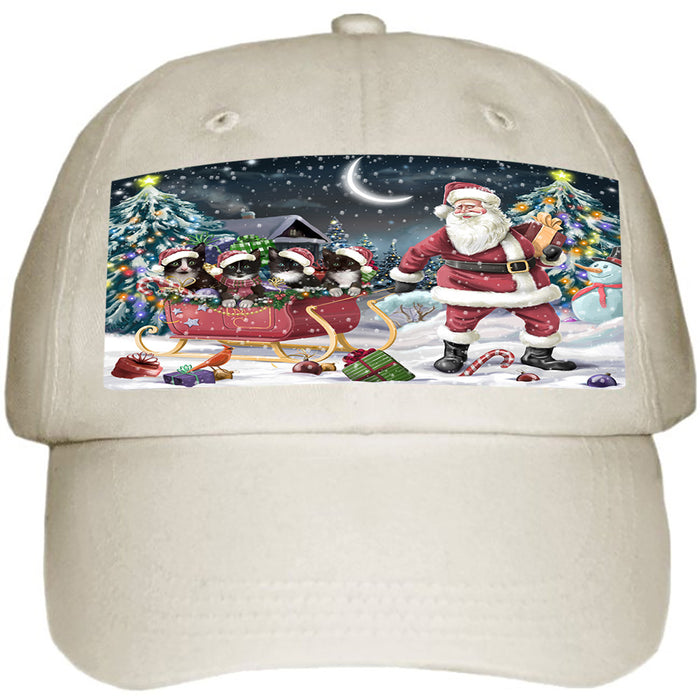 Santa Sled Dogs Christmas Happy Holidays Tuxedo Cats Ball Hat Cap HAT58911