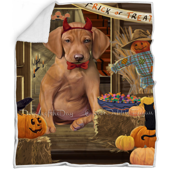 Enter at Own Risk Trick or Treat Halloween Vizsla Dog Blanket BLNKT97284