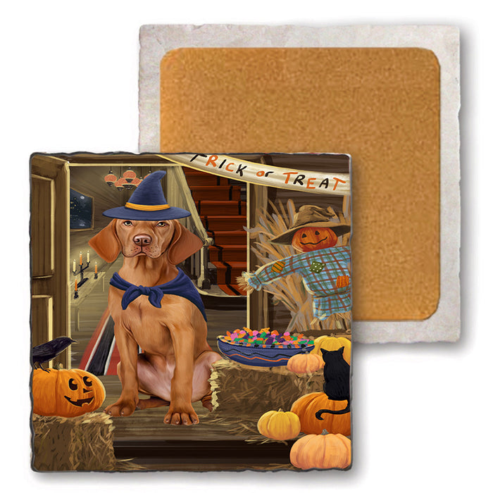 Enter at Own Risk Trick or Treat Halloween Vizsla Dog Set of 4 Natural Stone Marble Tile Coasters MCST48324