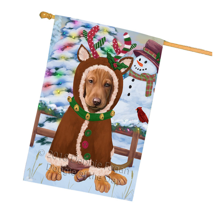 Christmas Gingerbread House Candyfest Vizsla Dog House Flag FLG57269