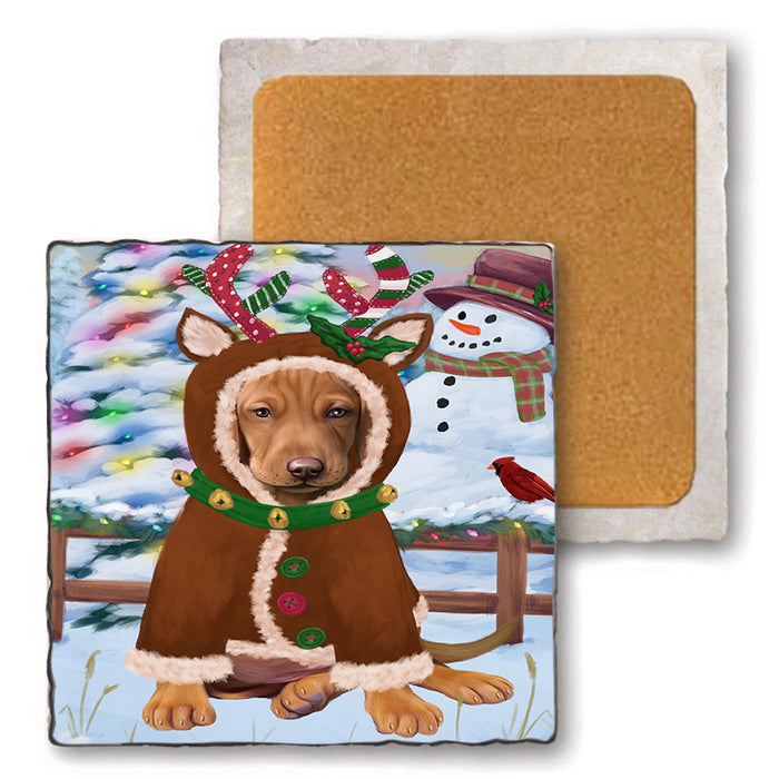 Christmas Gingerbread House Candyfest Vizsla Dog Set of 4 Natural Stone Marble Tile Coasters MCST51585