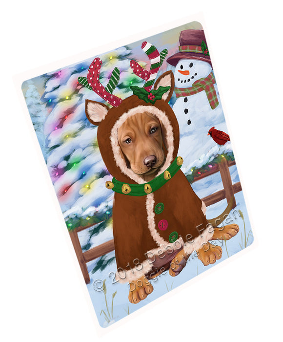 Christmas Gingerbread House Candyfest Vizsla Dog Large Refrigerator / Dishwasher Magnet RMAG101778