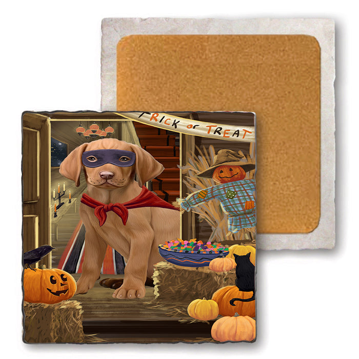 Enter at Own Risk Trick or Treat Halloween Vizsla Dog Set of 4 Natural Stone Marble Tile Coasters MCST48325