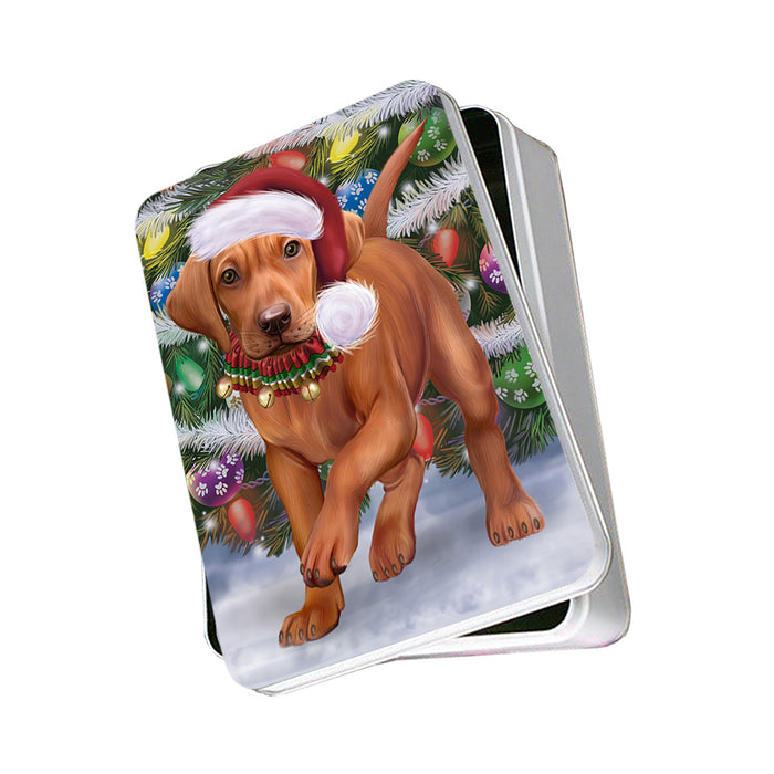 Trotting in the Snow Vizsla Dog Photo Storage Tin PITN56618
