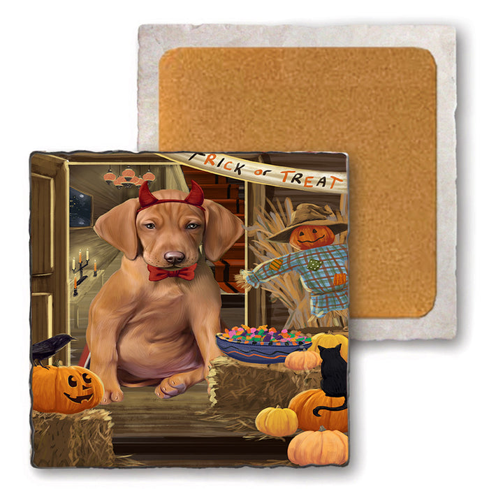 Enter at Own Risk Trick or Treat Halloween Vizsla Dog Set of 4 Natural Stone Marble Tile Coasters MCST48327