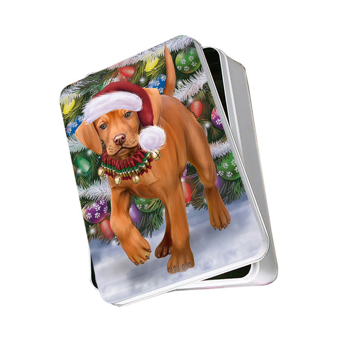 Trotting in the Snow Vizsla Dog Photo Storage Tin PITN56619