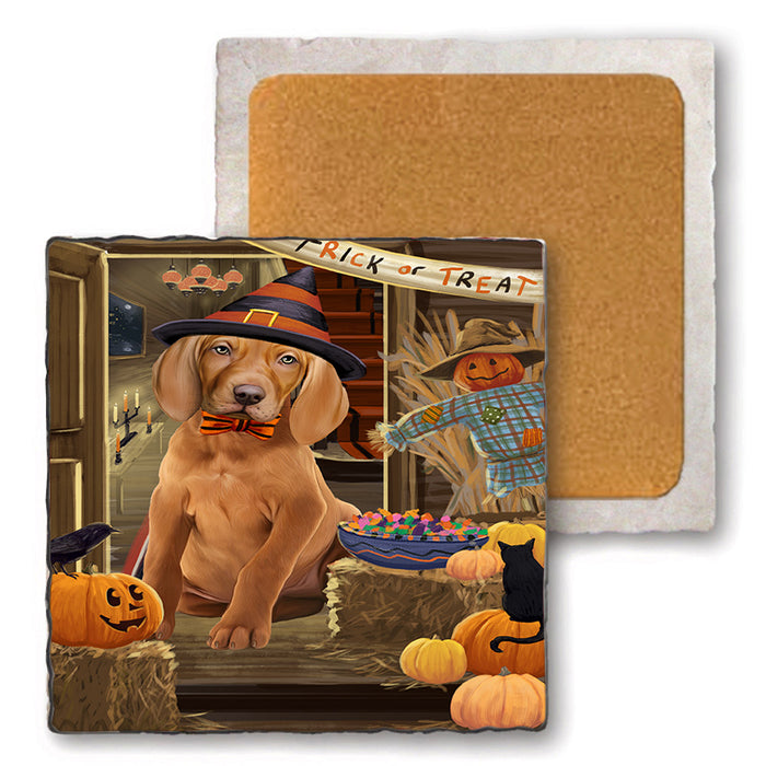 Enter at Own Risk Trick or Treat Halloween Vizsla Dog Set of 4 Natural Stone Marble Tile Coasters MCST48328