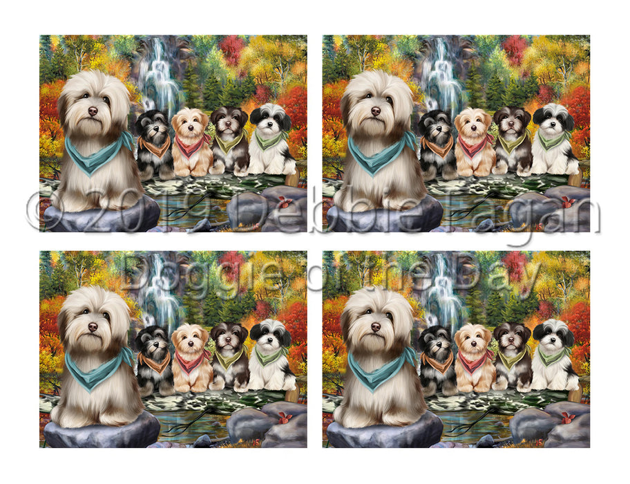 Scenic Waterfall Havanese Dogs Placemat