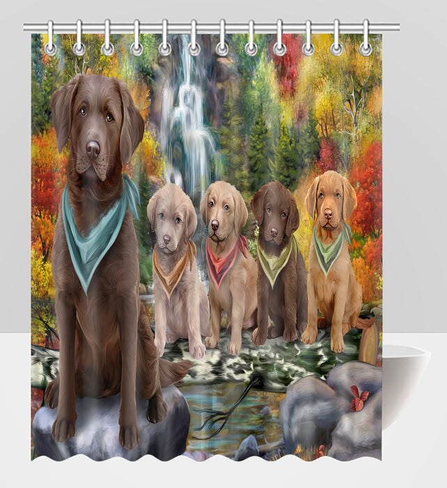 Scenic Waterfall Chesapeake Bay Retriever Dogs Shower Curtain