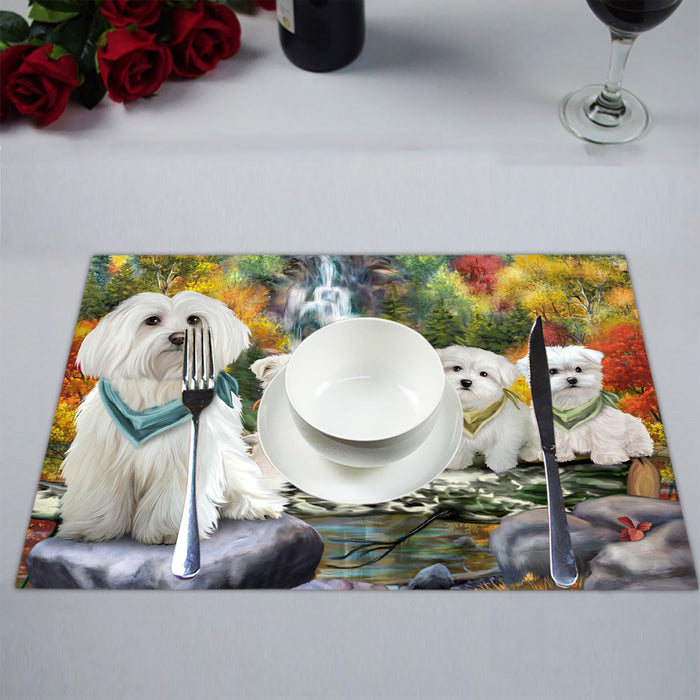 Scenic Waterfall Maltese Dogs Placemat
