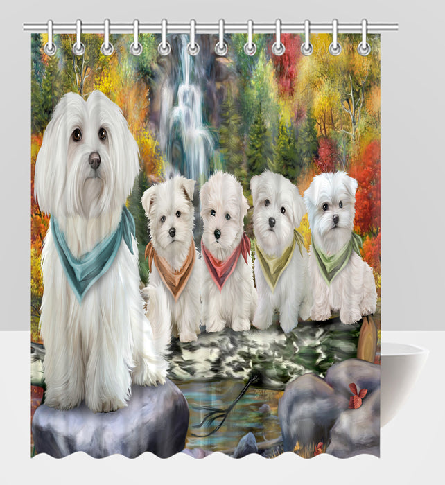 Scenic Waterfall Maltese Dogs Shower Curtain