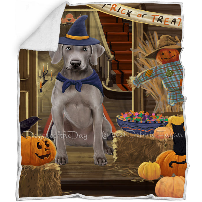 Enter at Own Risk Trick or Treat Halloween Weimaraner Dog Blanket BLNKT97302