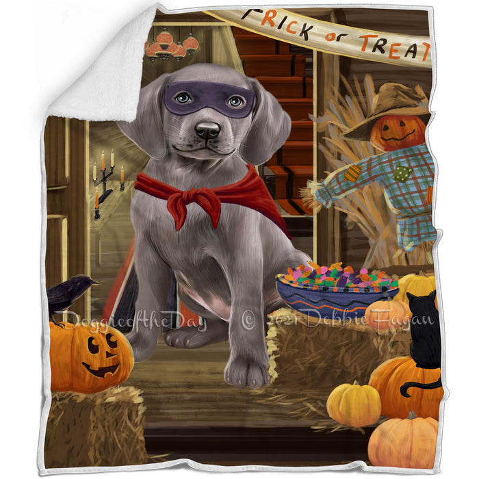 Enter at Own Risk Trick or Treat Halloween Weimaraner Dog Blanket BLNKT97311