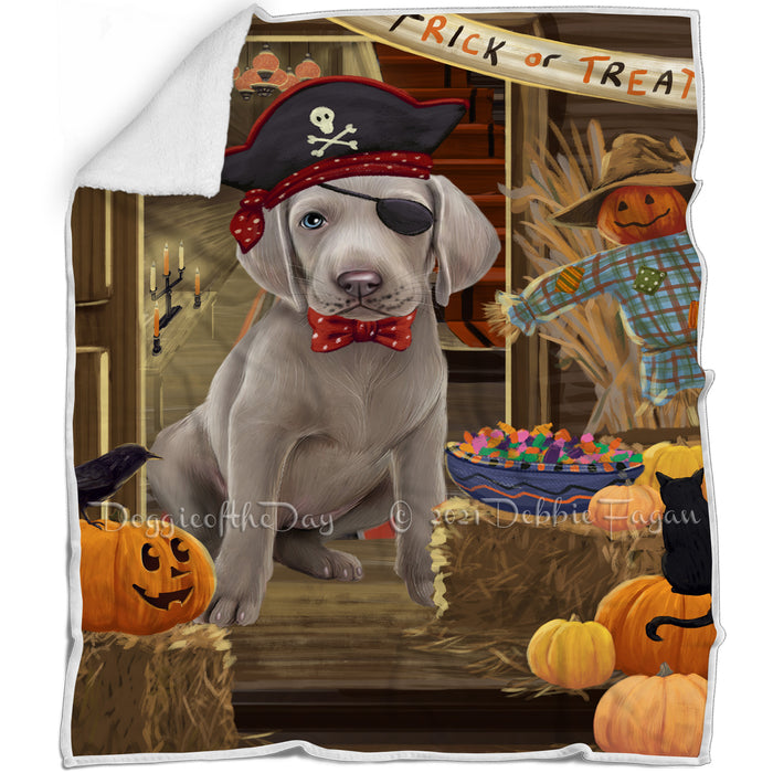 Enter at Own Risk Trick or Treat Halloween Weimaraner Dog Blanket BLNKT97320