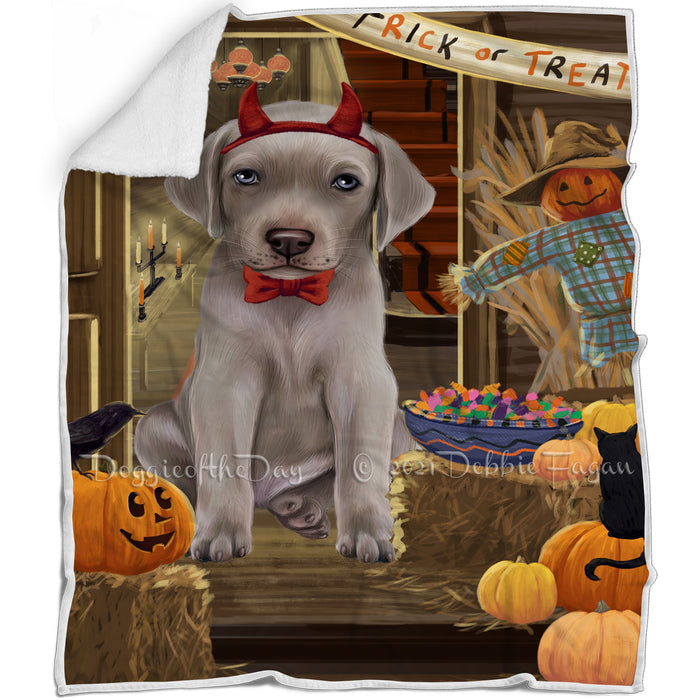 Enter at Own Risk Trick or Treat Halloween Weimaraner Dog Blanket BLNKT97329