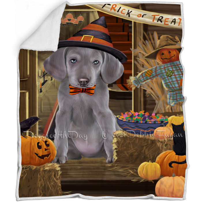 Enter at Own Risk Trick or Treat Halloween Weimaraner Dog Blanket BLNKT97338