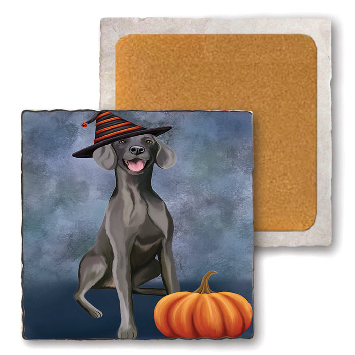 Happy Halloween Weimaraner Dog Wearing Witch Hat with Pumpkin Set of 4 Natural Stone Marble Tile Coasters MCST49833
