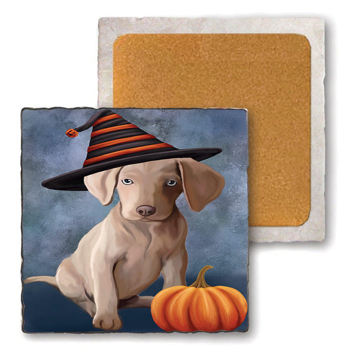 Happy Halloween Weimaraner Dog Wearing Witch Hat with Pumpkin Set of 4 Natural Stone Marble Tile Coasters MCST49834